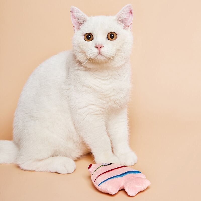 

1pc Random Color Fish Shaped Cat Chew Toy, Multicolor