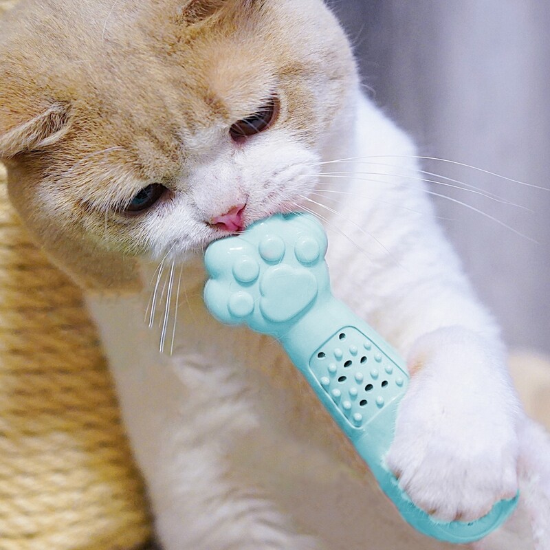 

1pc Paw Design Cat Chew Toy, Green