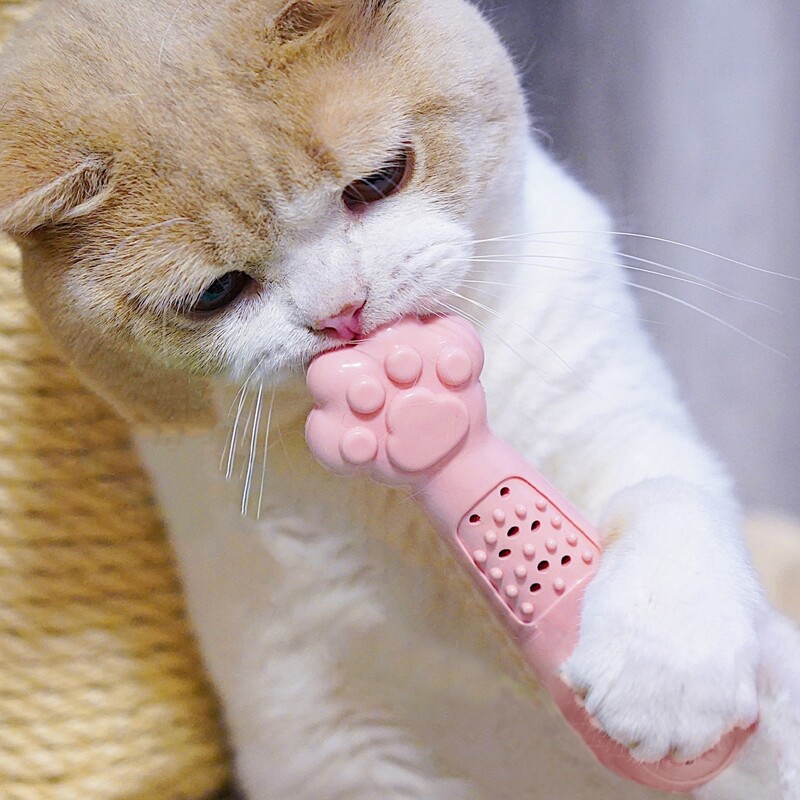 

1pc Paw Design Cat Chew Toy, Pink