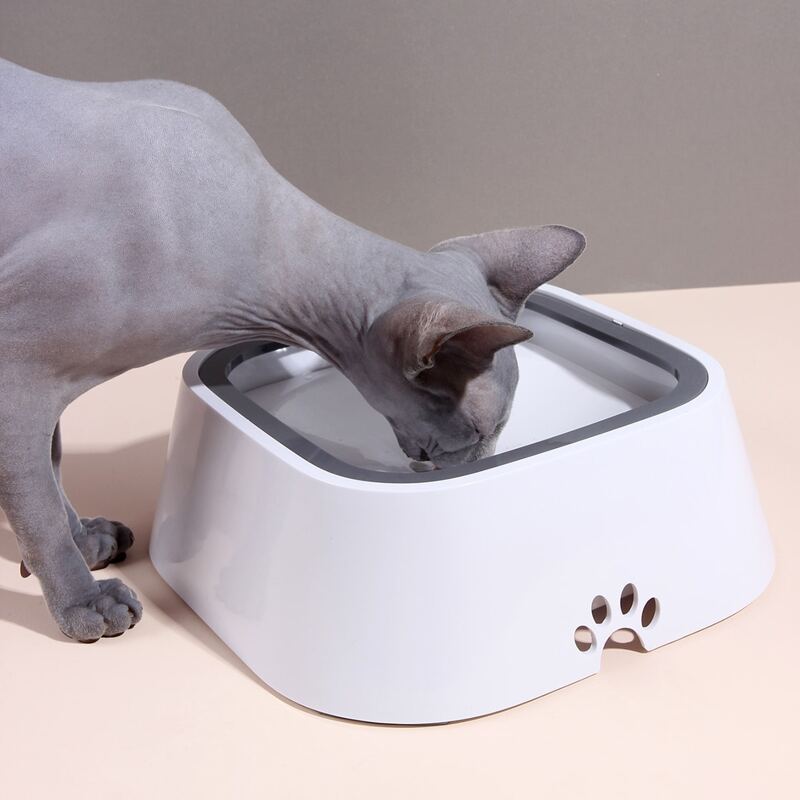 

Non-Wetting Mouth Cat Water Feeder, White