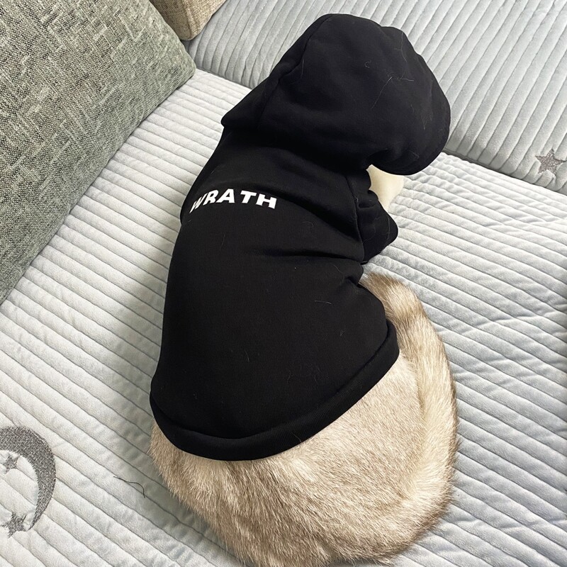 

Letter Graphic Cat Hoodie, Black
