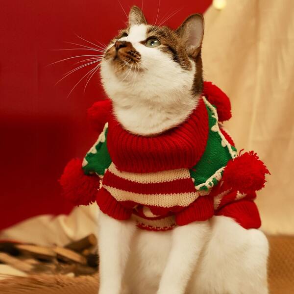 

Christmas Striped Cat Sweater, Red