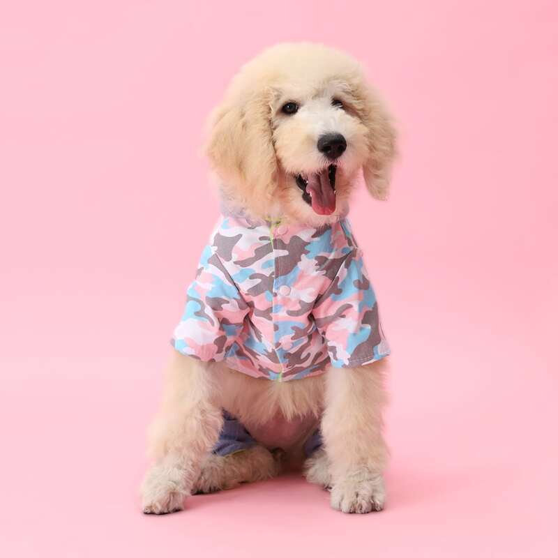 

Camo Dog Jumpsuit, Multicolor