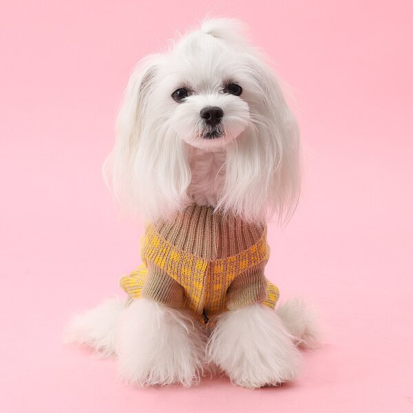 

Plaid Dog Sweater, Multicolor
