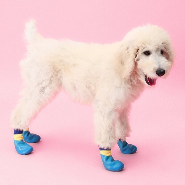 

4pcs Colorblock Waterproof Dog Socks, Blue