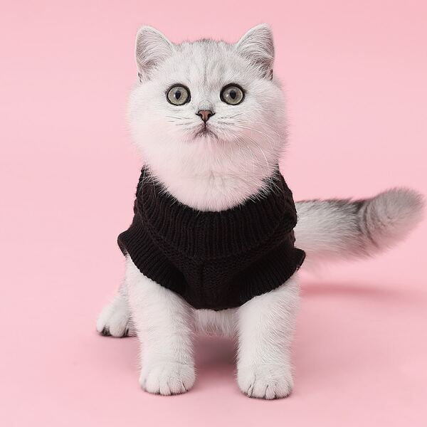 

Solid Knit Cat Sweater, Black