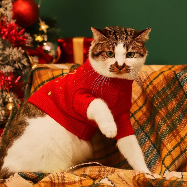 

Christmas Letter Graphic Cat Sweater, Red
