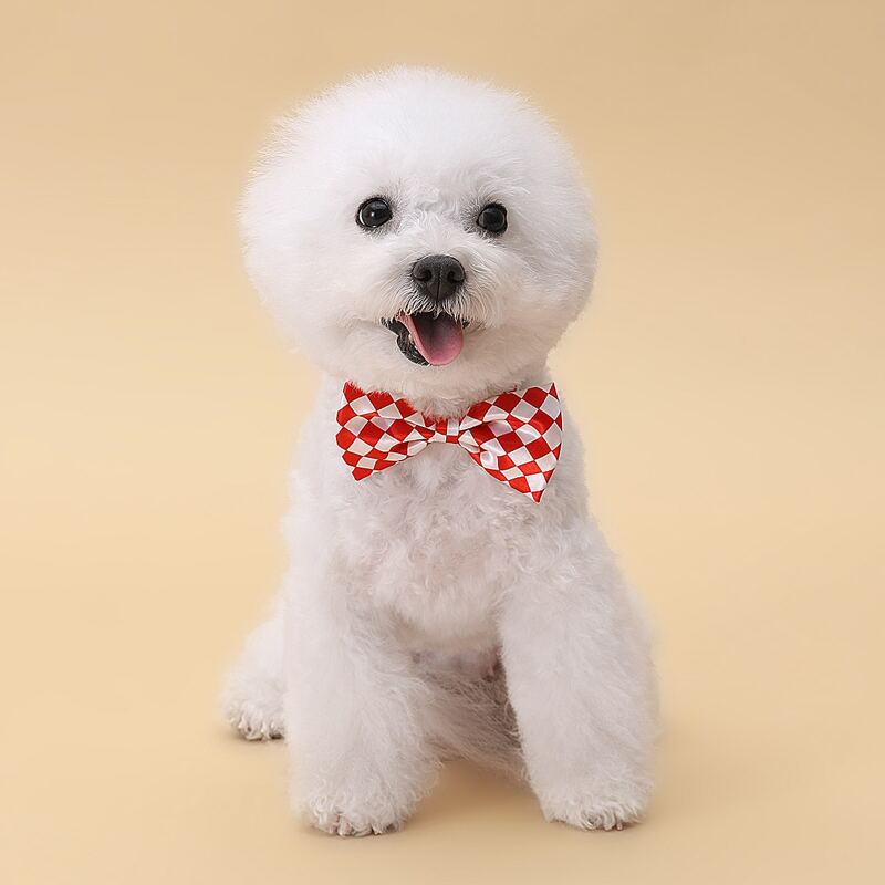 

Plaid Dog Bow Tie, Red and white
