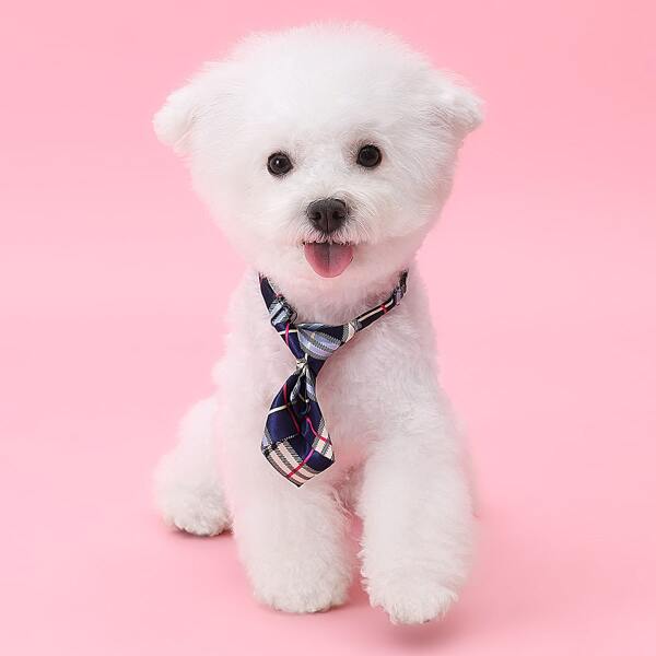 

Plaid Dog Tie, Navy blue