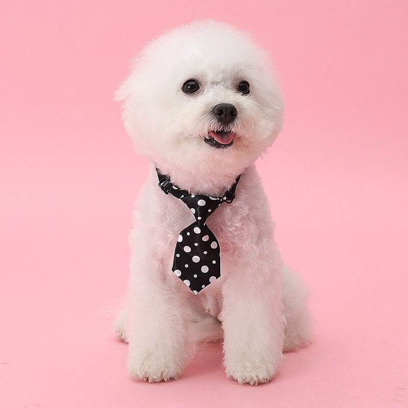 

Polka Dot Dog Tie, Black and white