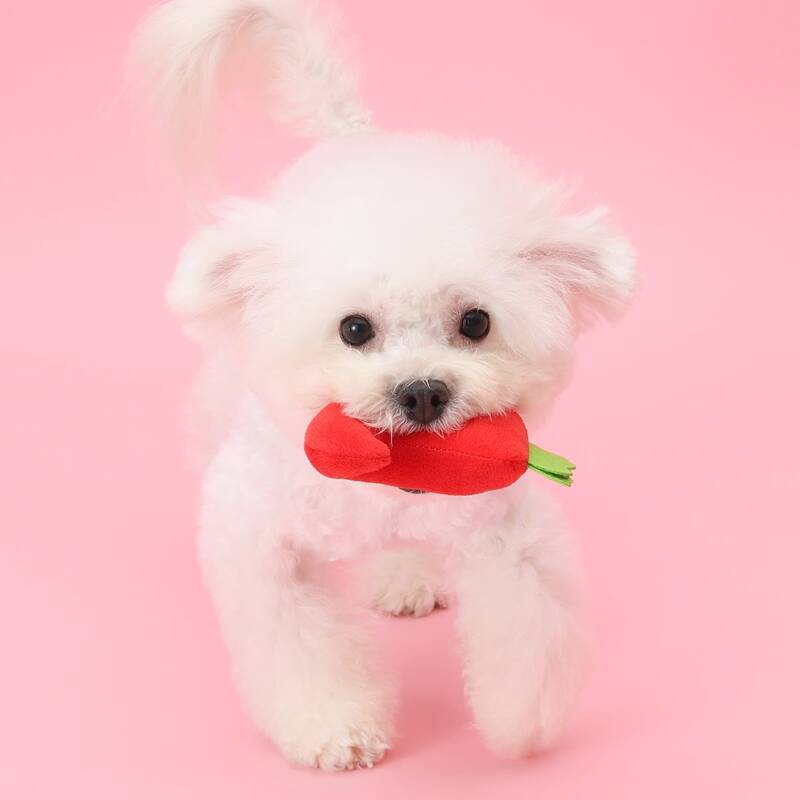 

Chili Shaped Plush Dog Toy, Red