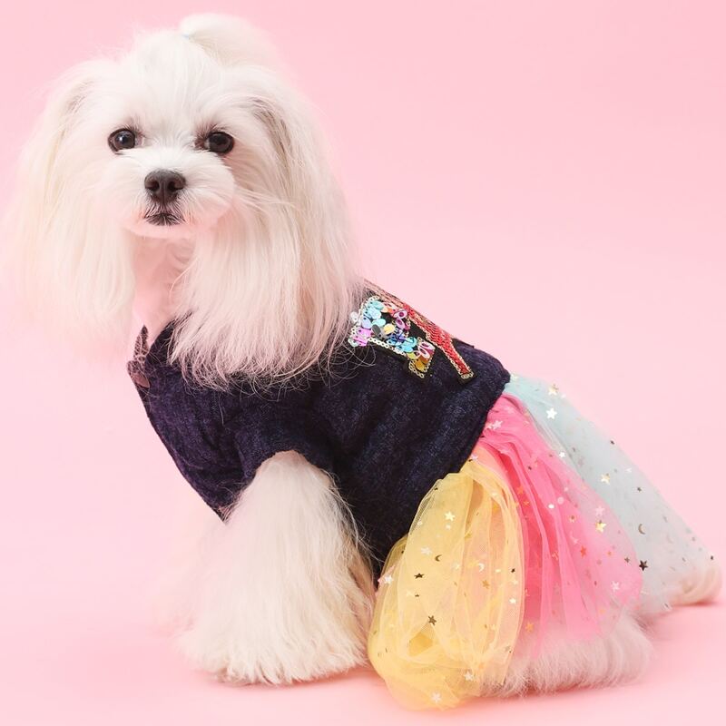 

Contrast Mesh Dog Dress, Multicolor