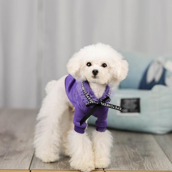 

Mesh Decor Dog Hoodie, Purple
