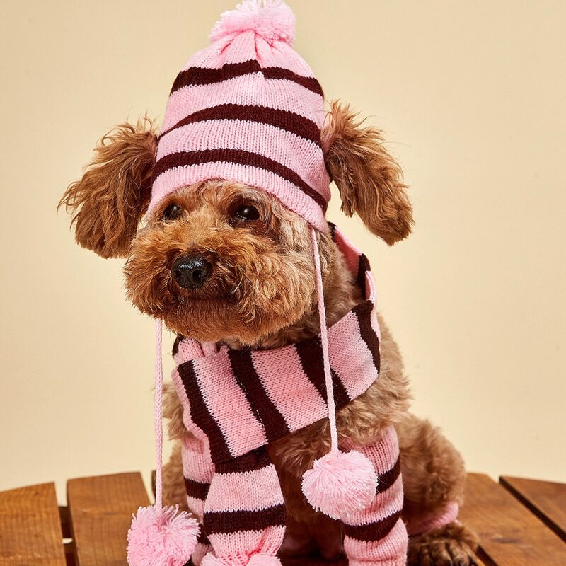 

6pcs Striped Dog Hat & Scarf & Leg Warmers Set, Pink