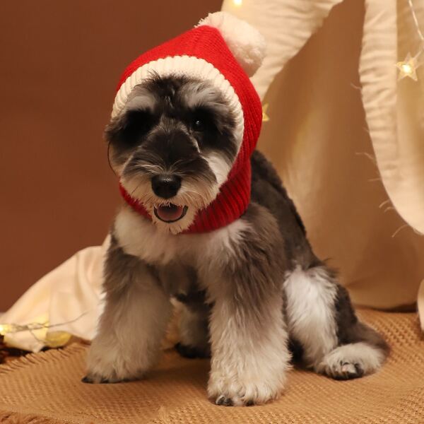 

Christmas Pom-pom Decor Dog Hat, Red