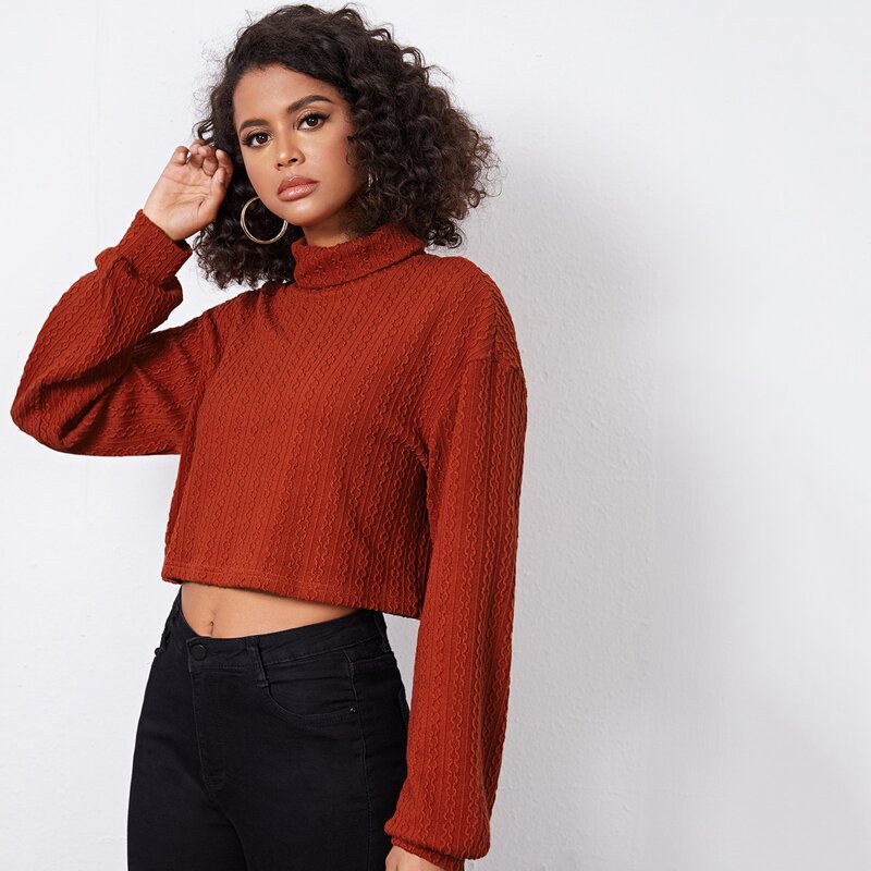 

Turtle Neck Cable Knit Top, Burnt orange