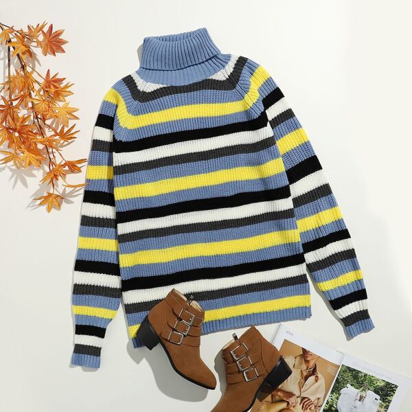 

Plus Turtle Neck Striped Sweater, Multicolor