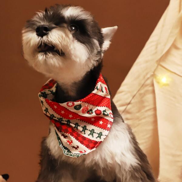 

Christmas Dog Bandana, Multicolor