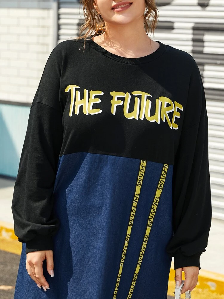 Plus Letter Graphic Tape Front Two Tone Dress