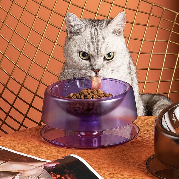 

Adjustable Cat Bowl, Purple