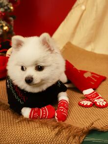 4 cái Giáng sinh mô hình hình học chó vớ - Đỏ - Xem 2