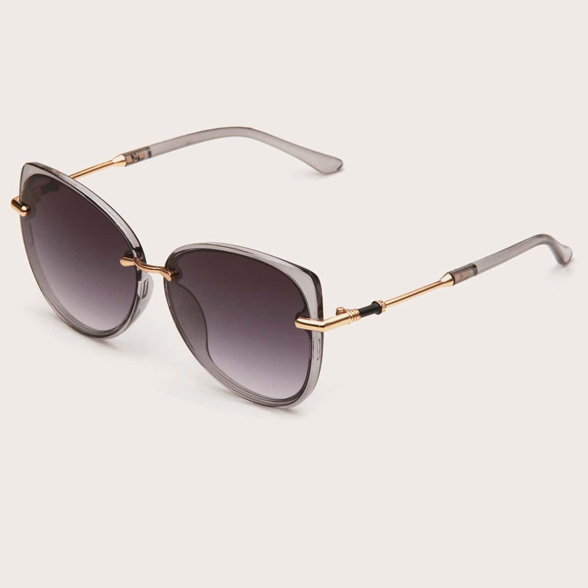 

Tinted Lens Sunglasses
