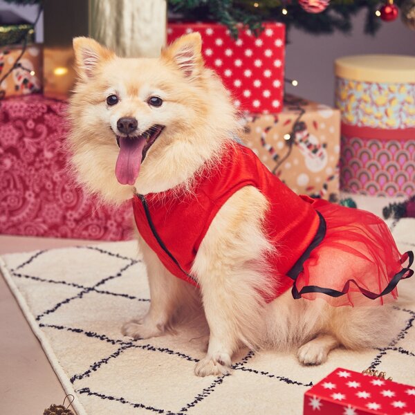 

Christmas Contrast Mesh Dog Dress, Red