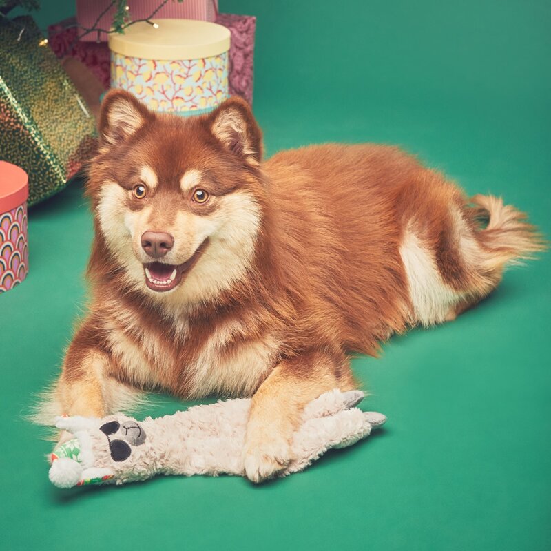 

Christmas Sheep Design Dog Toy, White