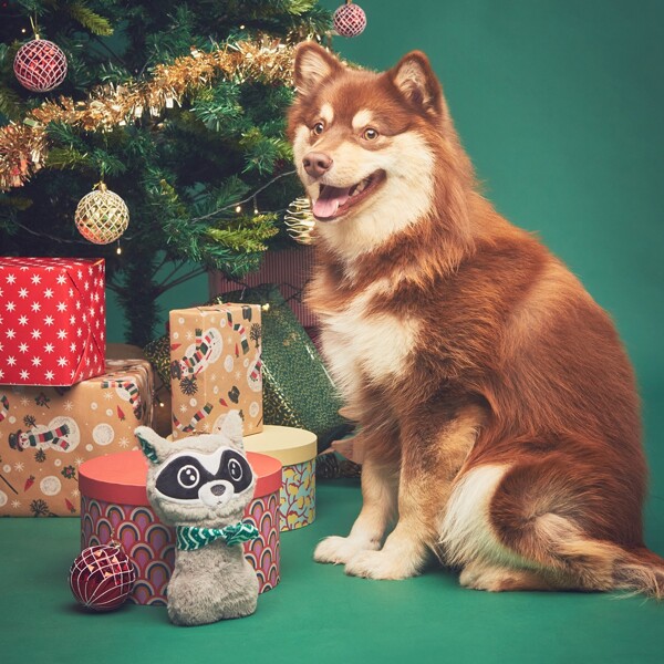 

Christmas Fox Design Dog Sound Toy, Grey