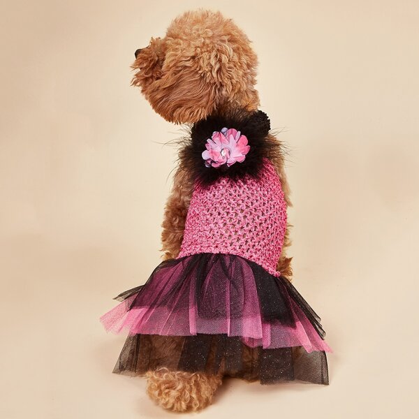 

Contrast Mesh Dog Dress, Pink
