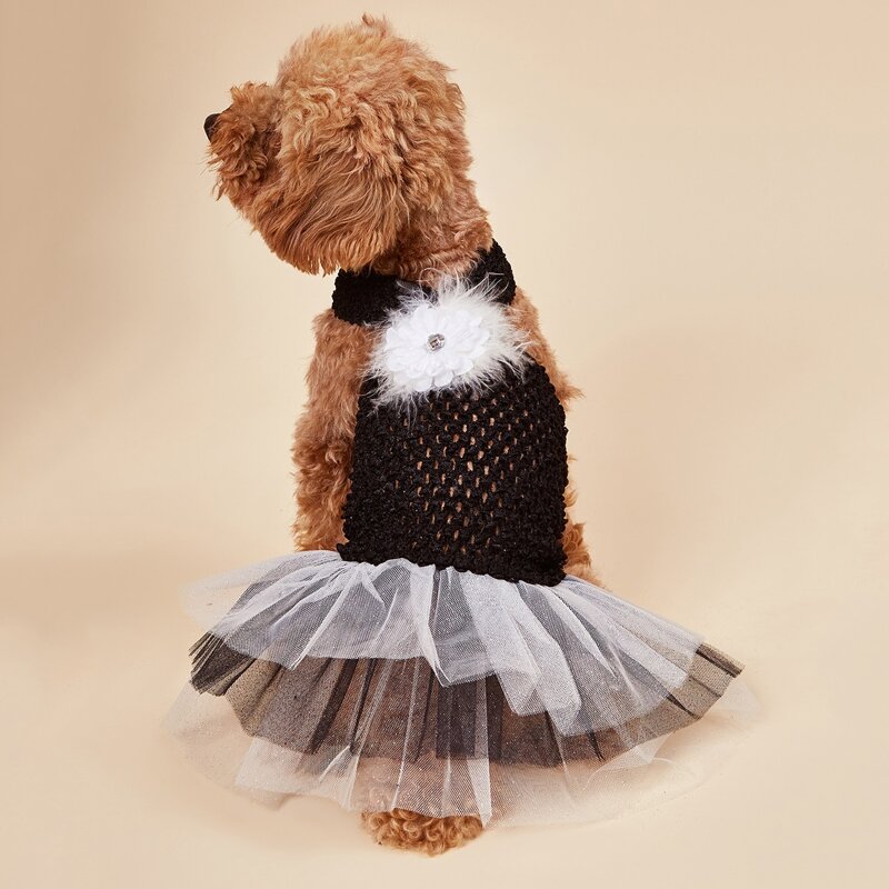 

Contrast Mesh Dog Dress, Black