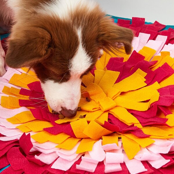 

Colorblock Dog Sniffing Pad, Multicolor