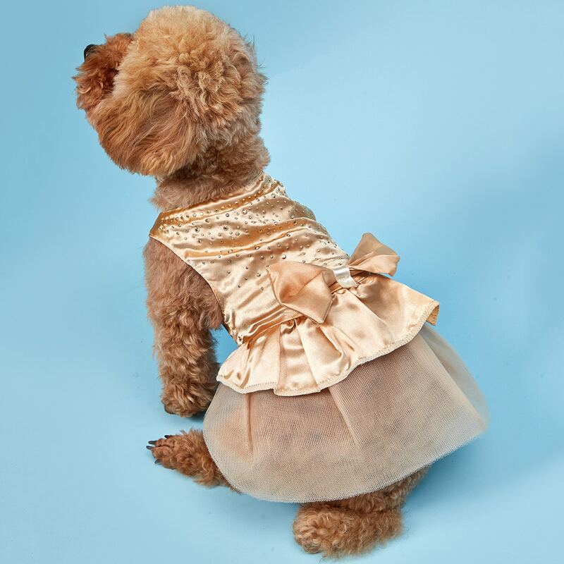 

Bow Decor Contrast Mesh Dog Dress, Gold