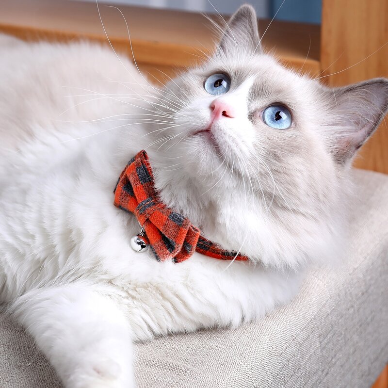 

1pc Plaid Cat Bow Tie, Multicolor