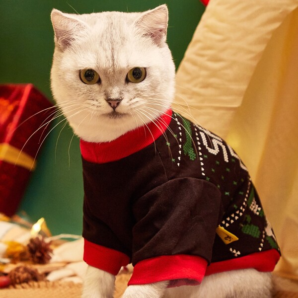 

Christmas Letter Graphic Cat Top, Black