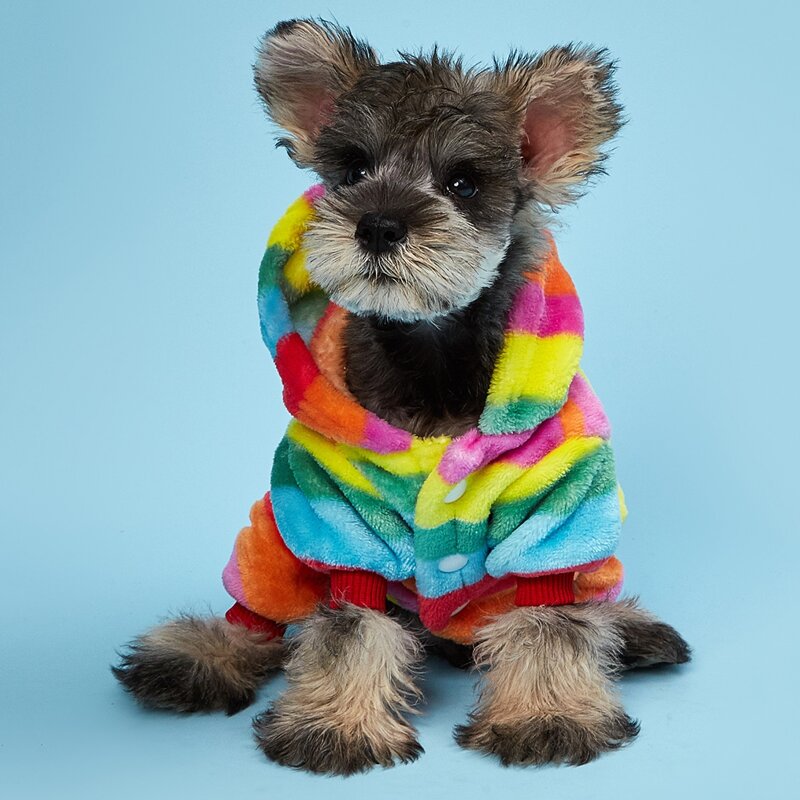 

Colorful Stripe Dog Jumpsuit, Multicolor