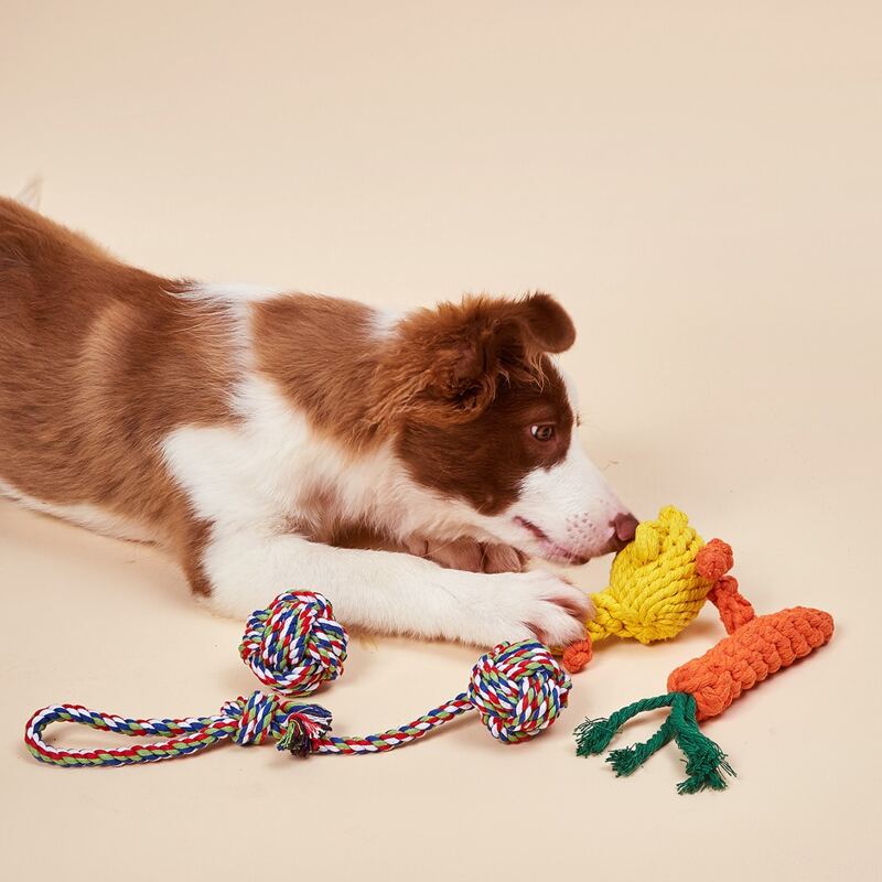

4pcs Cotton Rope Dog Toy, Multicolor