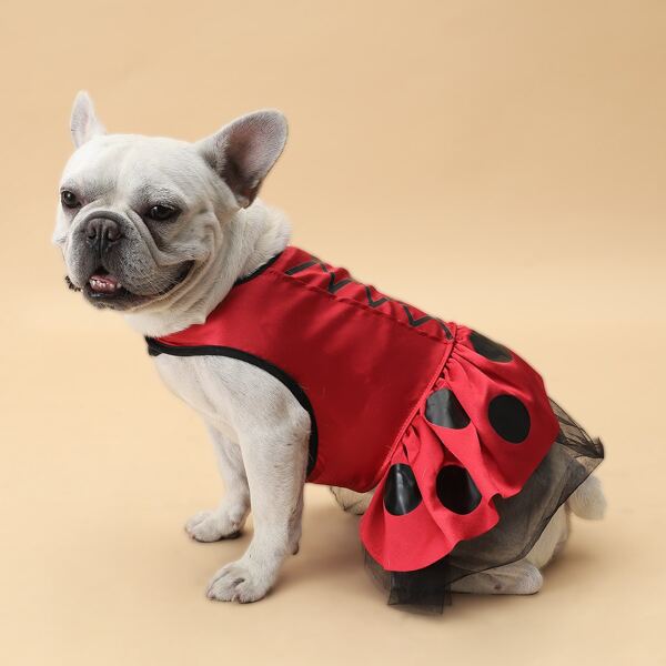 

Contrast Mesh Polka Dot Dog Dress, Red