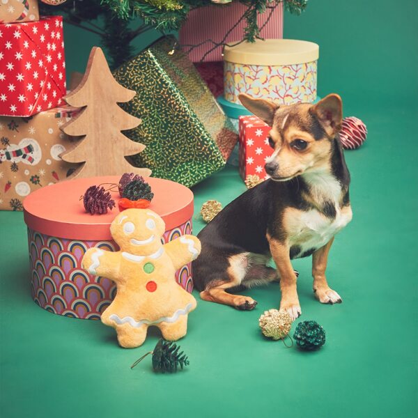 

Christmas Gingerbread Man Shaped Dog Toy, Yellow