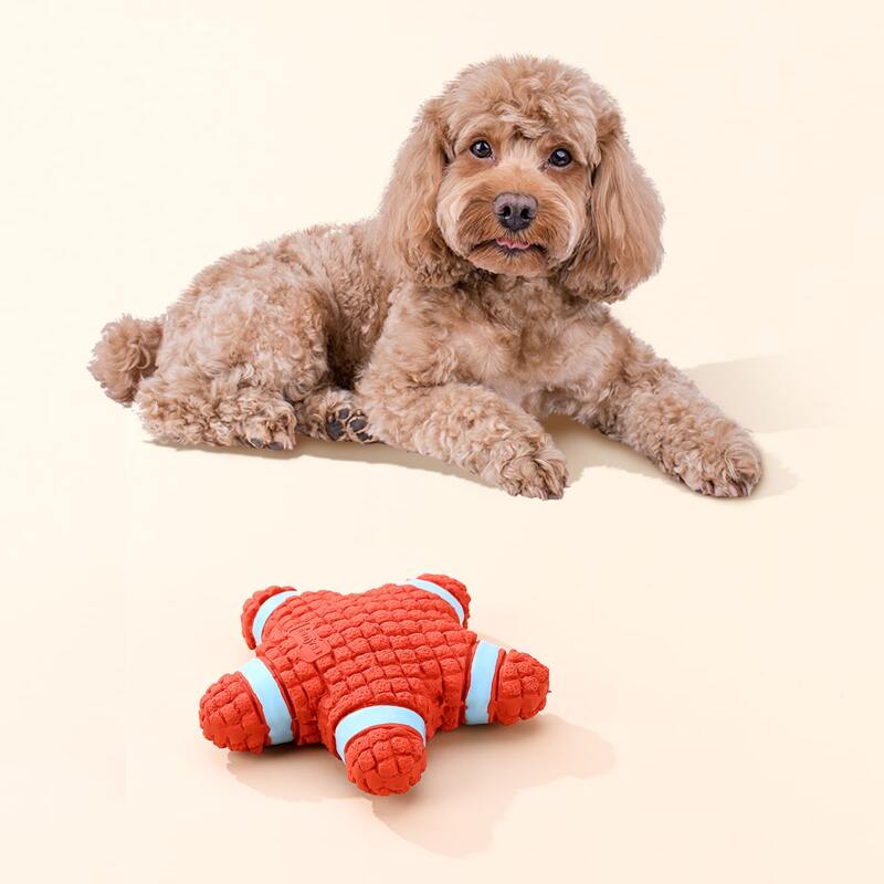 

Starfish Shaped Dog Sound Toy, Red