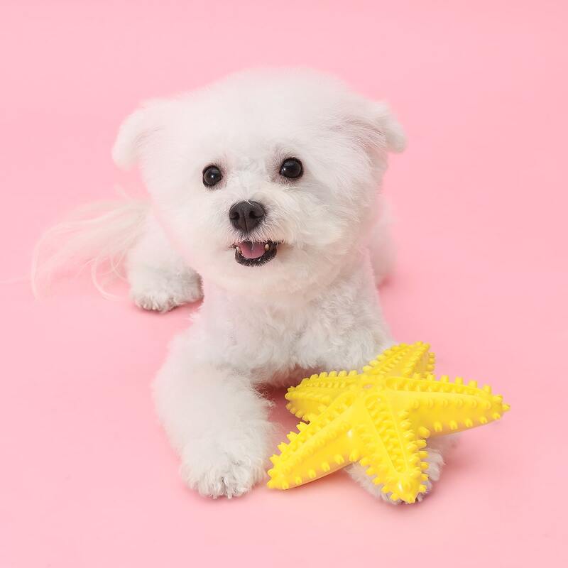 

Starfish Shaped Dog Sound Toy, Yellow