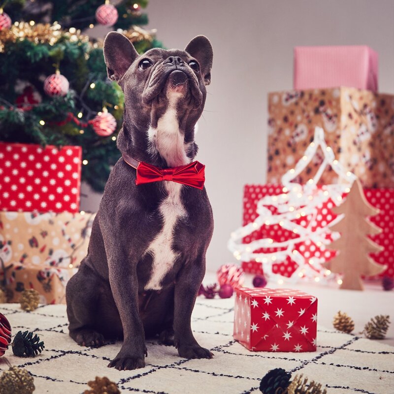 

1pc Satin Dog Bow Tie, Red