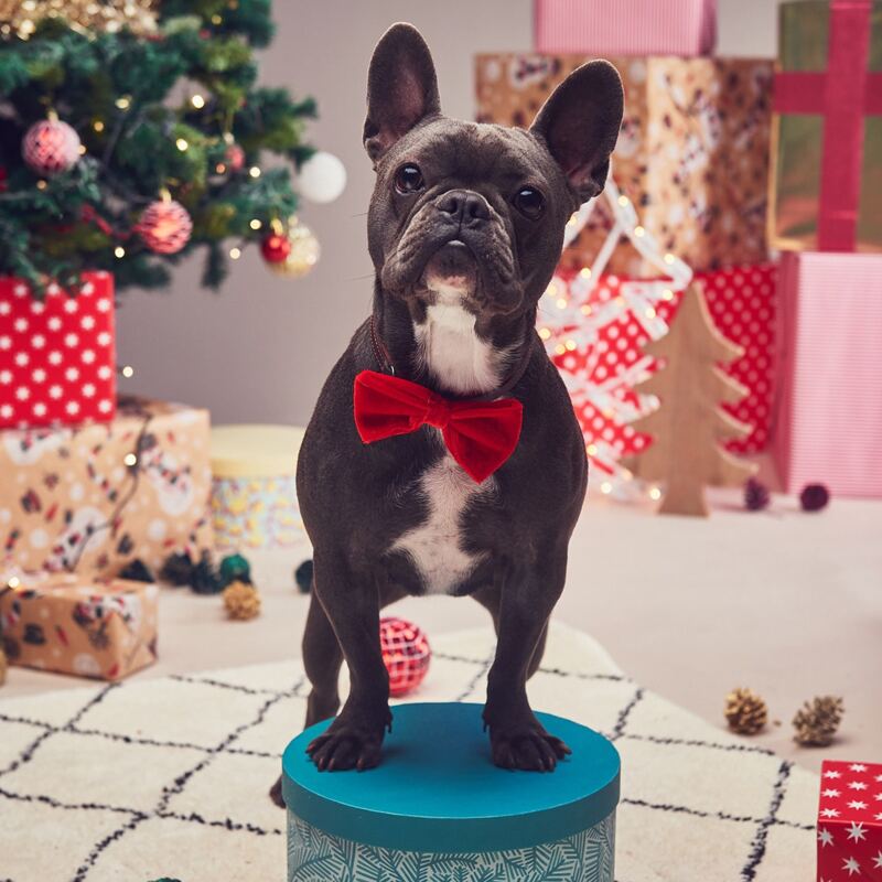 

1pc Velvet Dog Bow Tie, Red