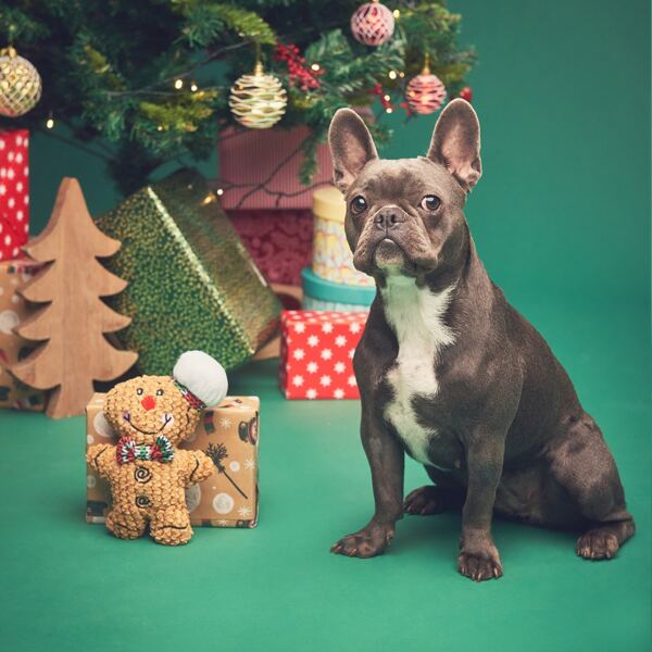 

Christmas Gingerbread Man Shaped Dog Toy, Camel