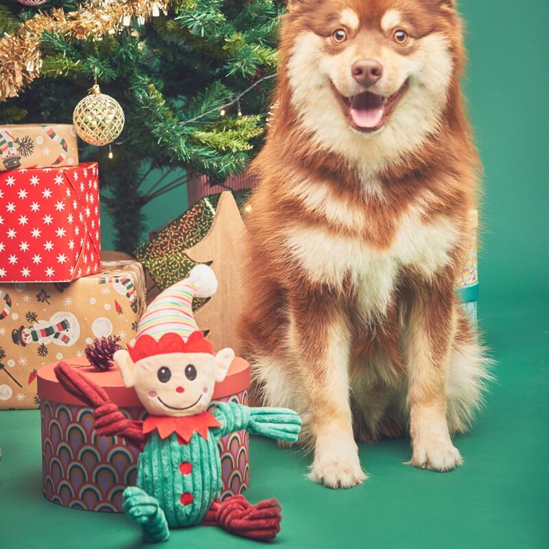 

Christmas Cartoon Shaped Dog Toy, Green