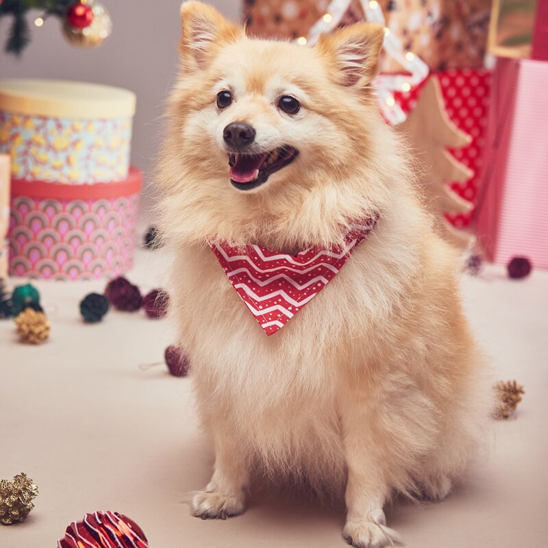 

Wave Pattern Dog Bandana, Red