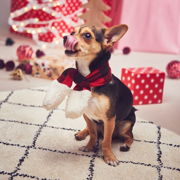 

Christmas Plaid Dog Scarf, Red
