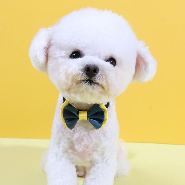 

Two Tone Dog Bow Tie, Multicolor