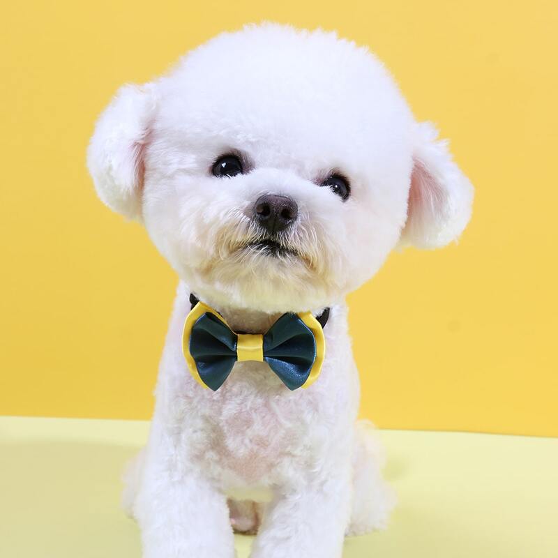 

Two Tone Dog Bow Tie, Multicolor