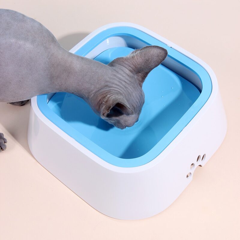 

Colorblock Non-Wetting Mouth Cat Water Bowl, Blue